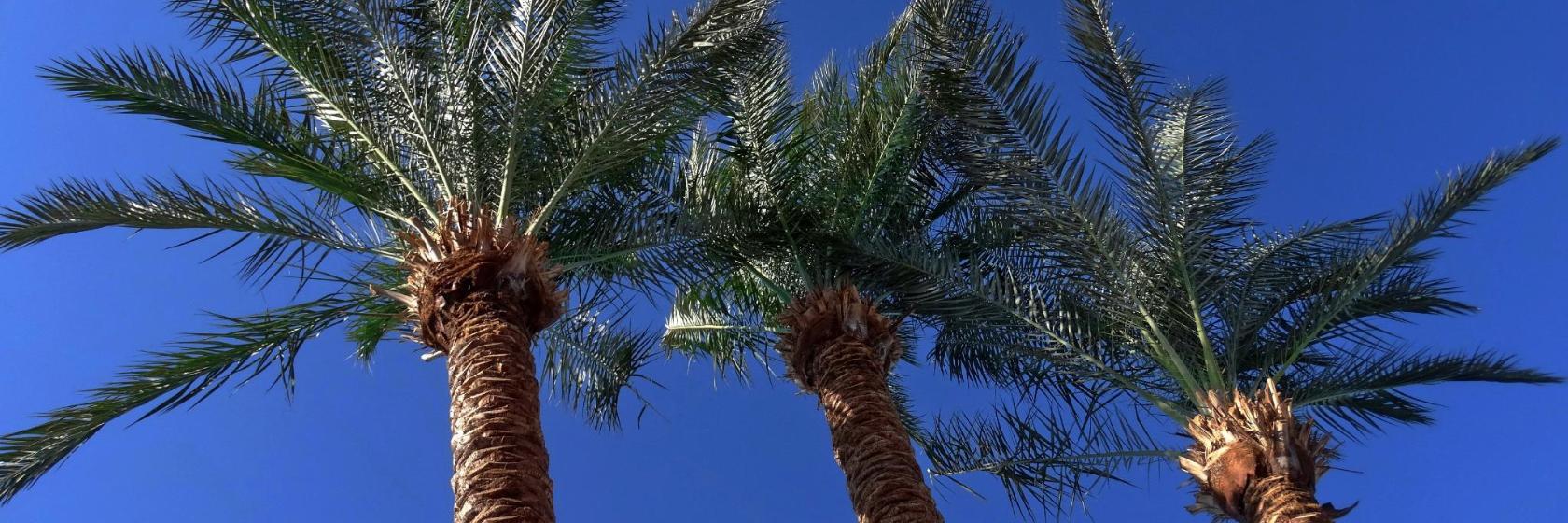 Boîte de nuit Mega Park